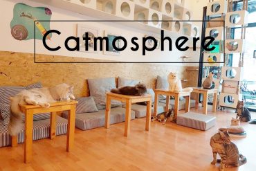 Catmosphere